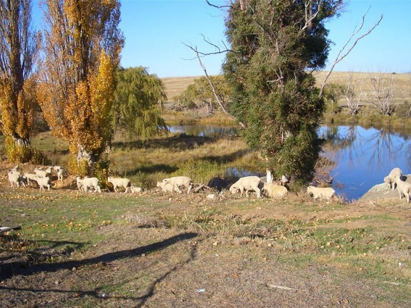 69 Jimenbuen Road, Dalgety NSW 2628