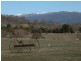 1 Kosciusko Road, East Jindabyne NSW 2627