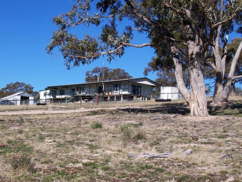 L56-46 Brassey Creek Road, Bungarby NSW 2630