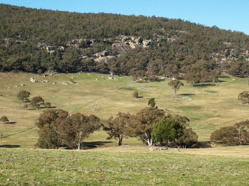 L56-46 Brassey Creek Road, Bungarby NSW 2630