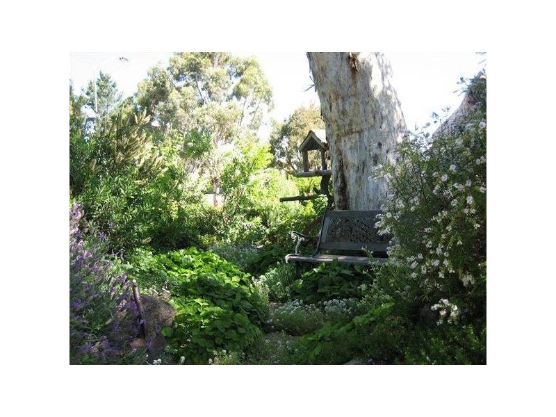 142 Banksia AVENUE, Kalkite NSW 2627