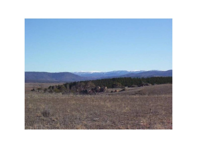 Lot 2 &10 Hamilton STREET, Dalgety NSW 2628