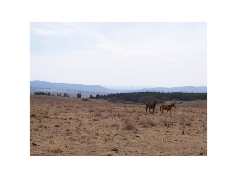 Lot 2 &10 Hamilton STREET, Dalgety NSW 2628