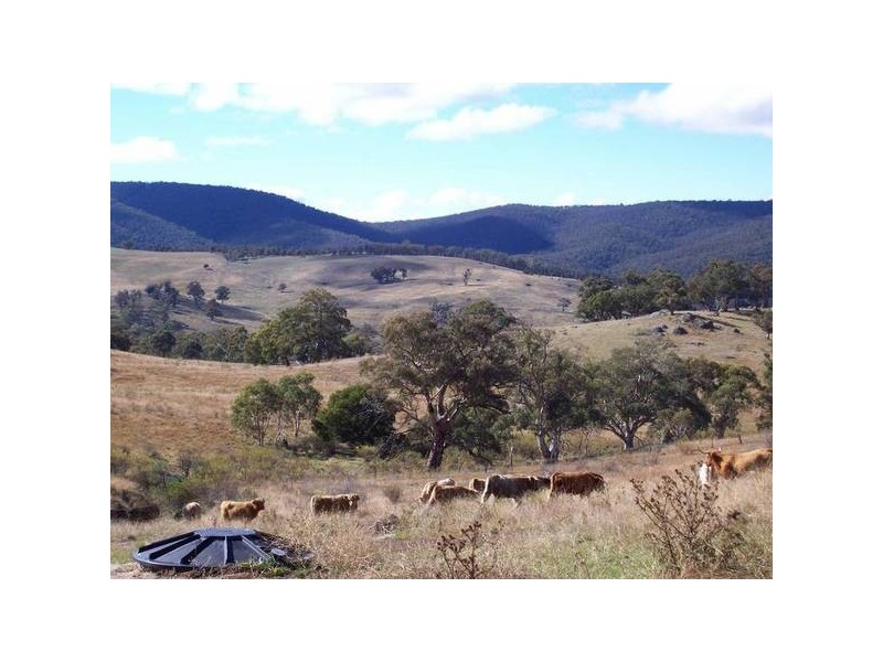 1294 Gullies Road, Jindabyne NSW 2627