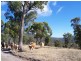 Lot 2 Kalkite Rural 100acres, Jindabyne NSW 2627