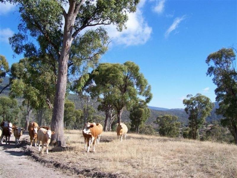 Lot 2 Kalkite Rural 100acres, Jindabyne NSW 2627