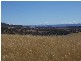 Lot 7 Ironmungie, Dalgety NSW 2628