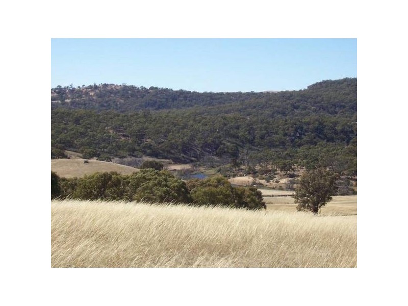Lot 7 Ironmungie, Dalgety NSW 2628