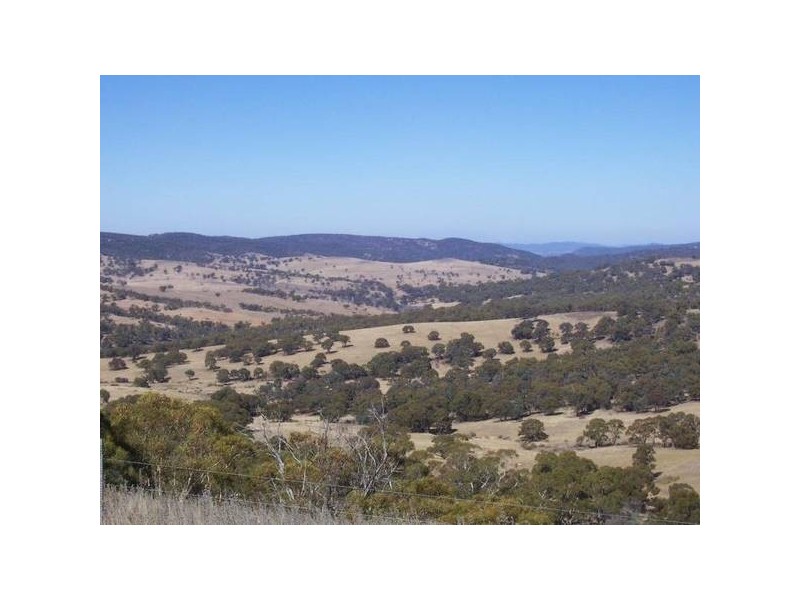 Lot 7 Ironmungie, Dalgety NSW 2628