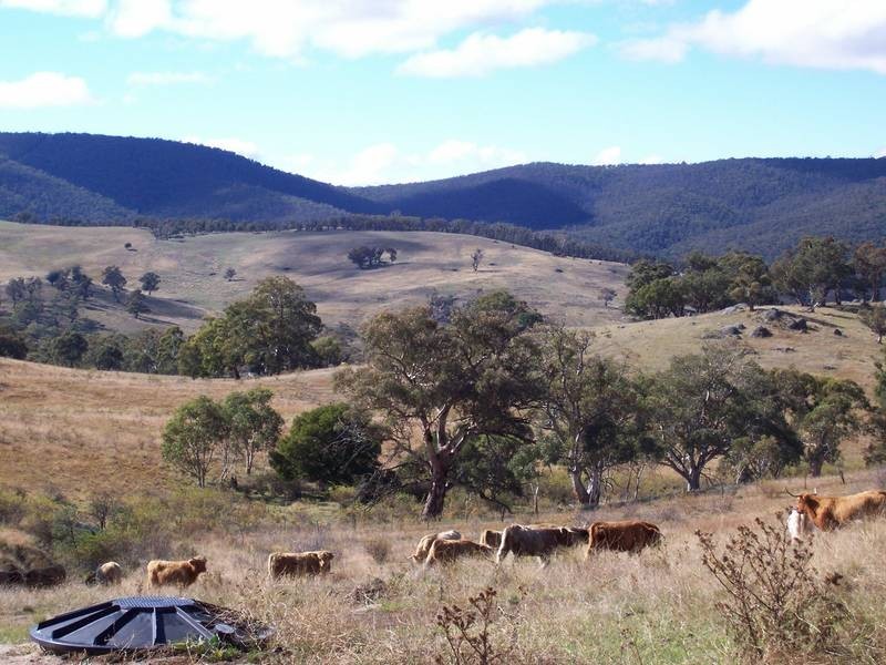 1294 Gullies Road, Jindabyne NSW 2627