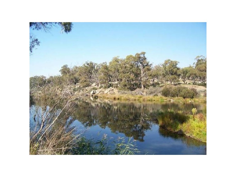 Hickeys Road, Dalgety NSW 2628