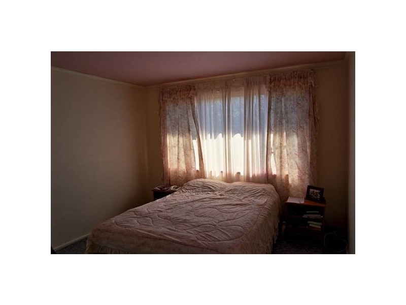 Hickeys Road, Dalgety NSW 2628