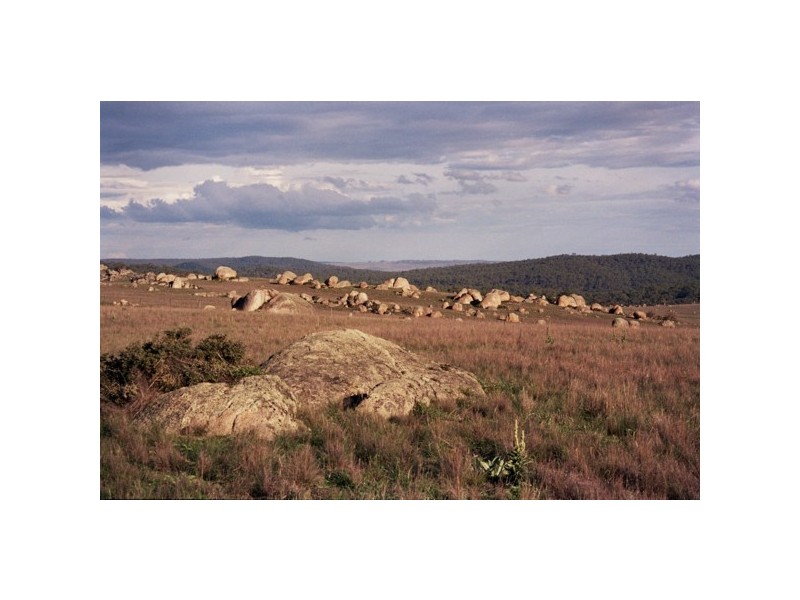 Hickeys Road, Dalgety NSW 2628