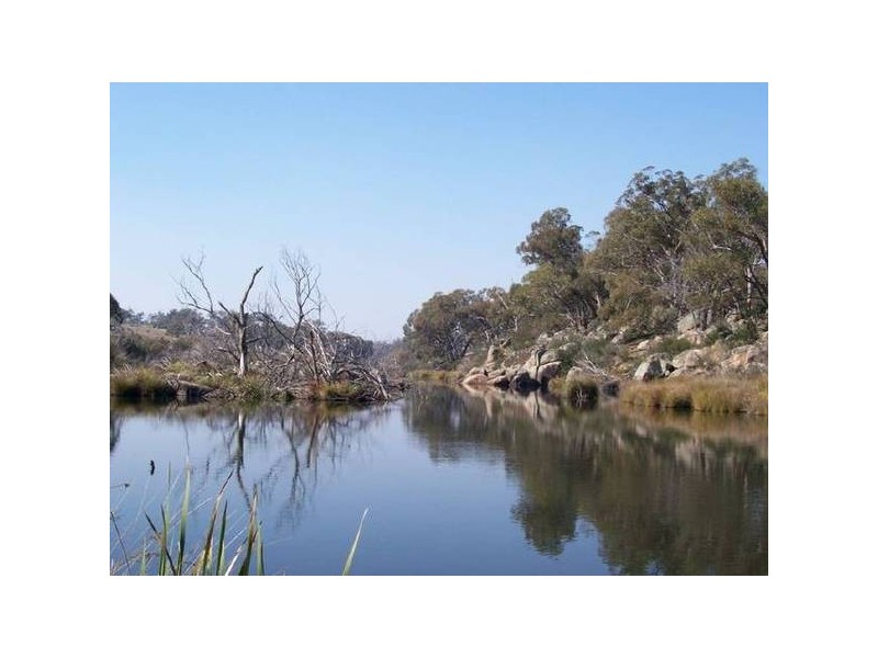 Hickeys Road, Dalgety NSW 2628