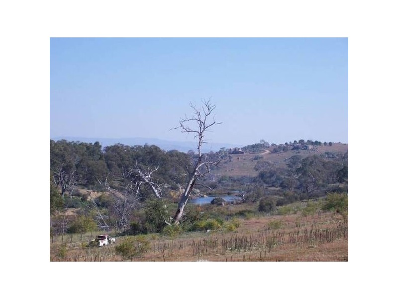 Hickeys Road, Dalgety NSW 2628