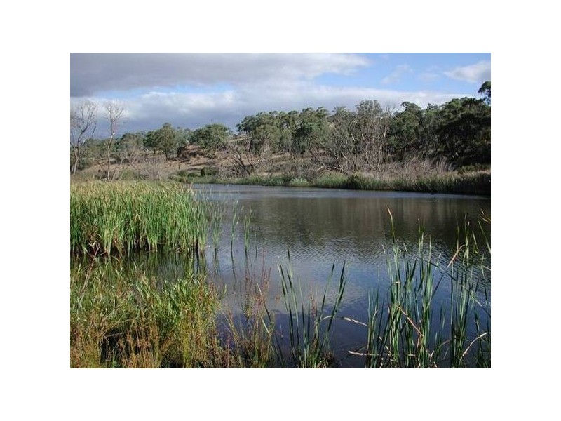 Bungarby, Bungarby NSW 2630