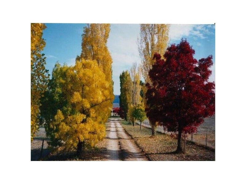 Bungarby, Bungarby NSW 2630