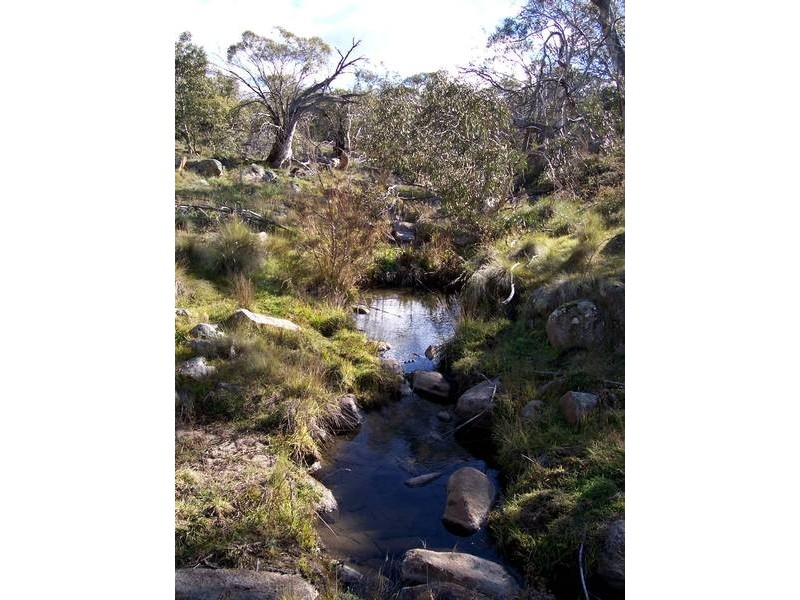 Willis Court, High Country Estate, Jindabyne NSW 2627