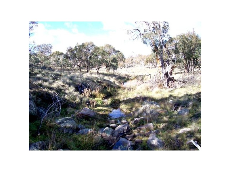 Willis Court, High Country Estate, Jindabyne NSW 2627