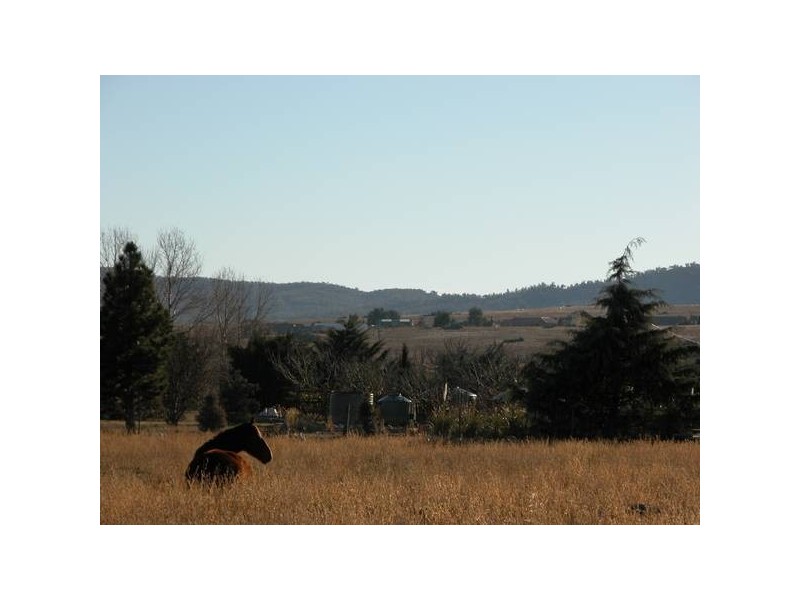 Lot 4 Dalgety Road, Berridale NSW 2628