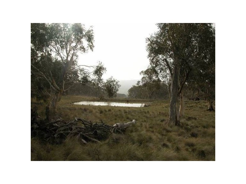 13 Abington Park Road, Jindabyne NSW 2627