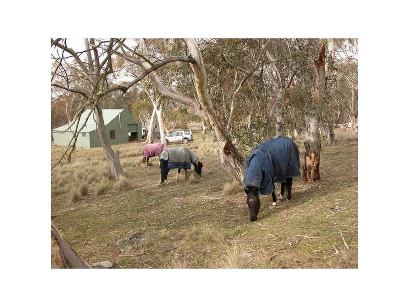 13 Abington Park Road, Jindabyne NSW 2627