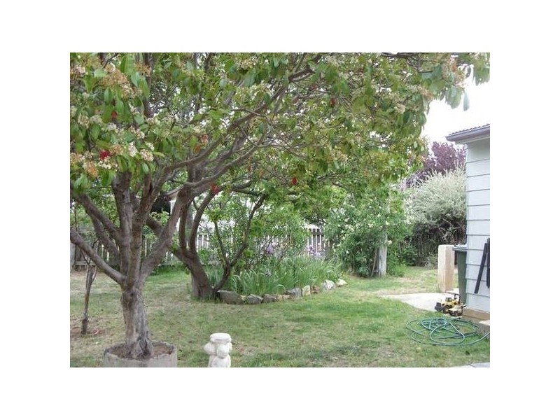 21 Oliver Street, Berridale NSW 2628