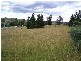 Lot 1 Cnr Barry Way & Snowy River Way, Jindabyne NSW 2627