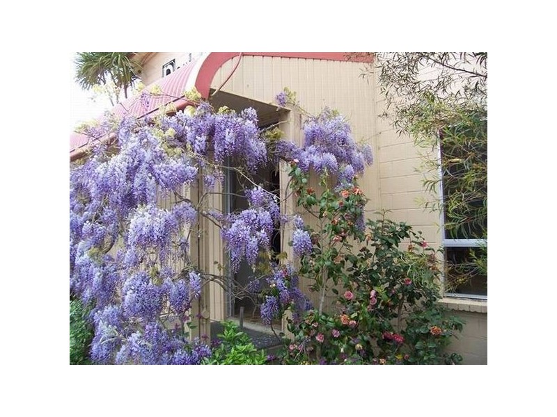 6 Park Rd, Jindabyne NSW 2627