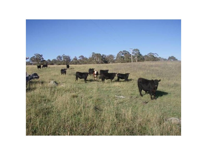 868 Avonside road, Jindabyne NSW 2627