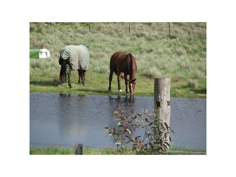 28 Lovells Rd Abington Park, Jindabyne NSW 2627