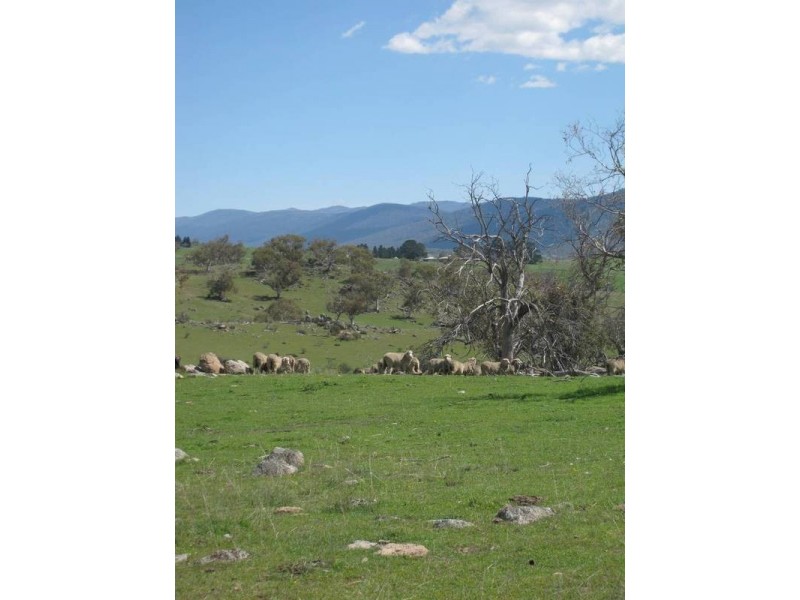 65 Barry Way, Jindabyne NSW 2627