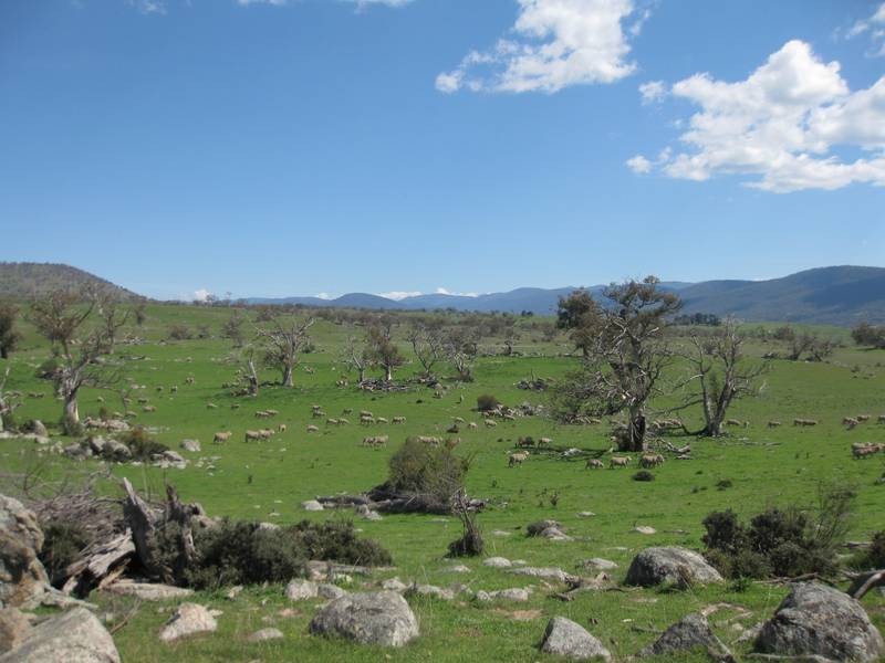 65 Barry Way, Jindabyne NSW 2627