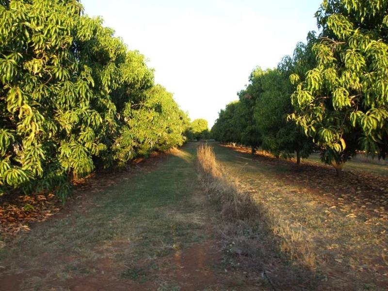 22 River Farm road, Kununurra WA 6743