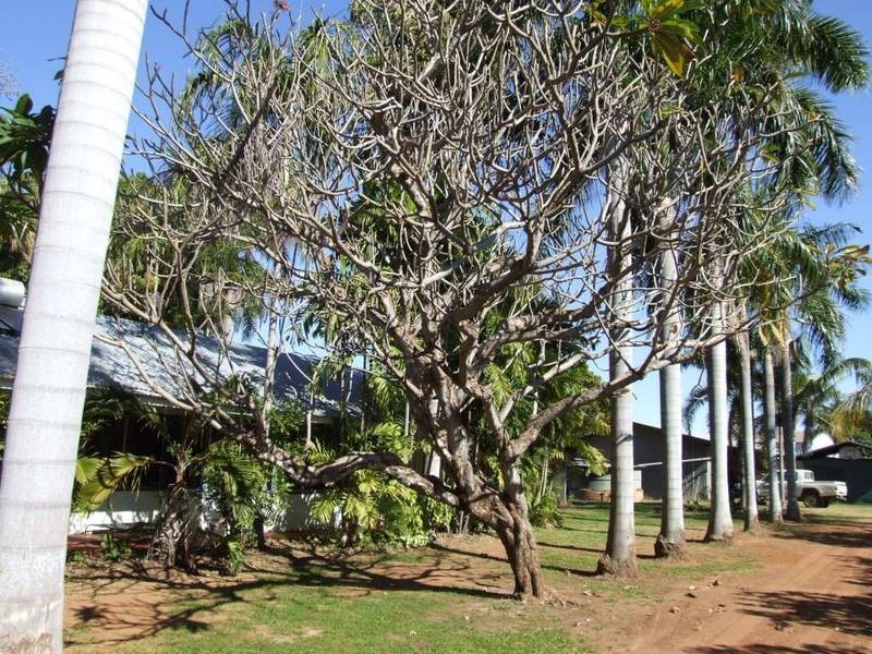 22 River Farm road, Kununurra WA 6743