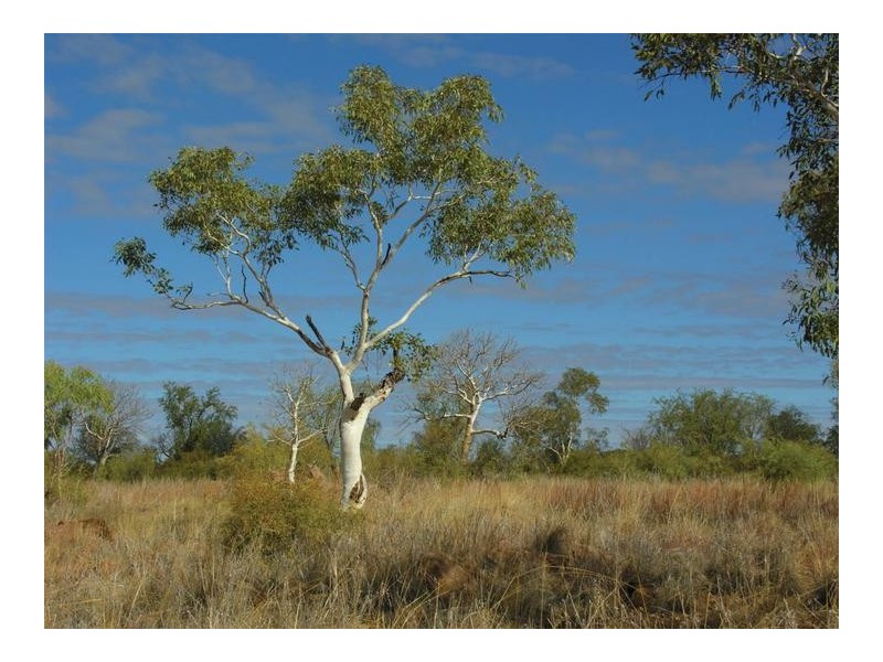 Weero road, Kununurra WA 6743