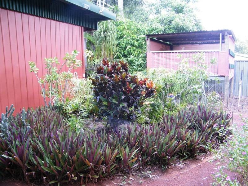 11 Kurrajong Street, Kununurra WA 6743