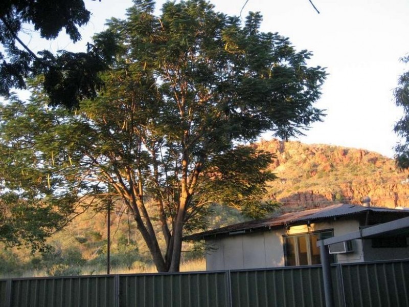 16 Cajuput Street, Kununurra WA 6743