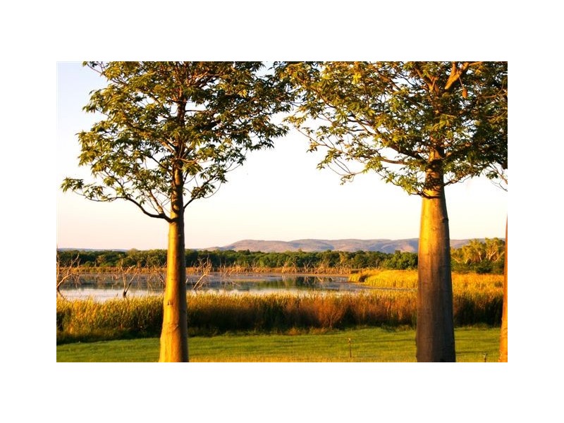 66 Casuarina Way, Kununurra WA 6743