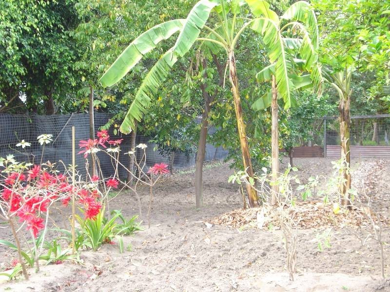 186 Strickland Street, Bowen QLD 4805