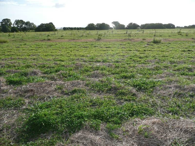 Lot 15, 30 Lucinda Place, Bowen QLD 4805
