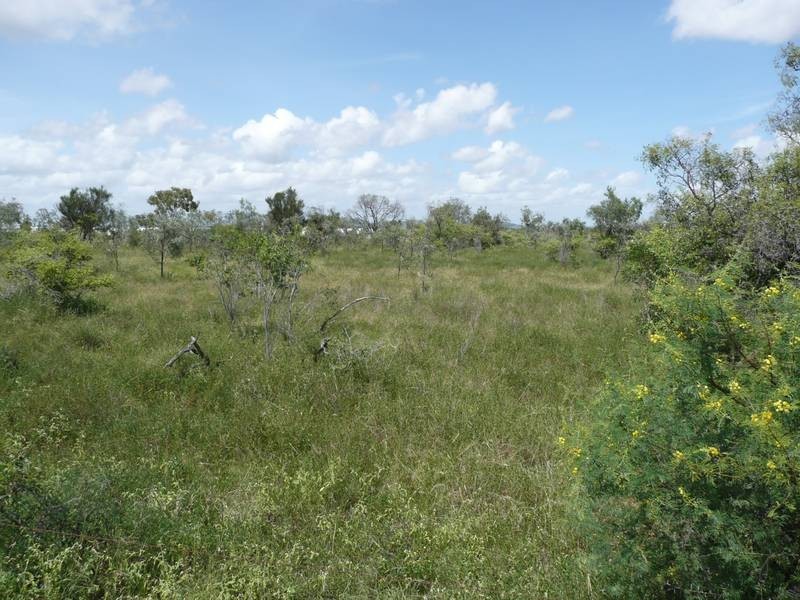 266 Collinsville Road, Bowen QLD 4805