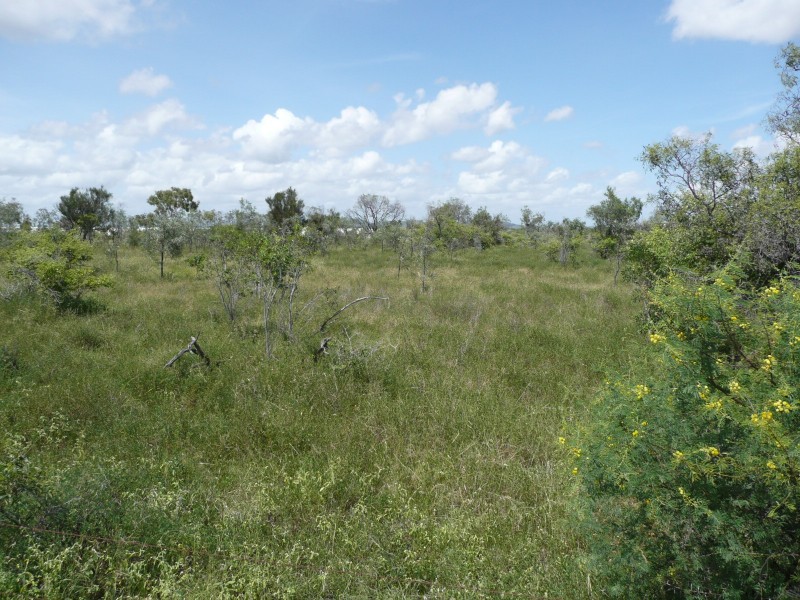 266 Collinsville Road, Bowen QLD 4805