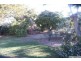 81 Horseshoe Bay Road, Bowen QLD 4805