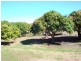 43 The Esplanade, Bowen QLD 4805