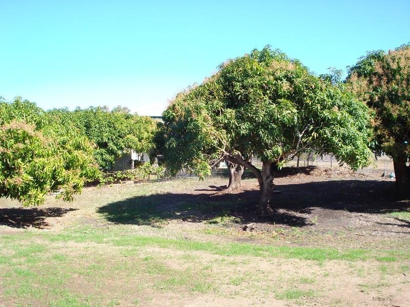 43 The Esplanade, Bowen QLD 4805