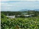 7a Philip Street, Bowen QLD 4805