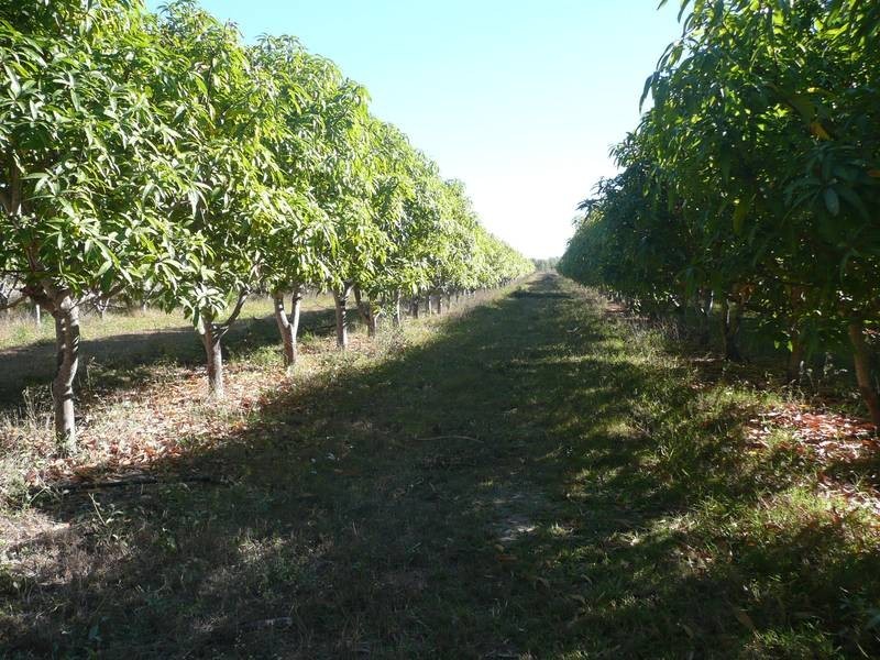 Lot 25,  De Salis Street, Gumlu QLD 4805