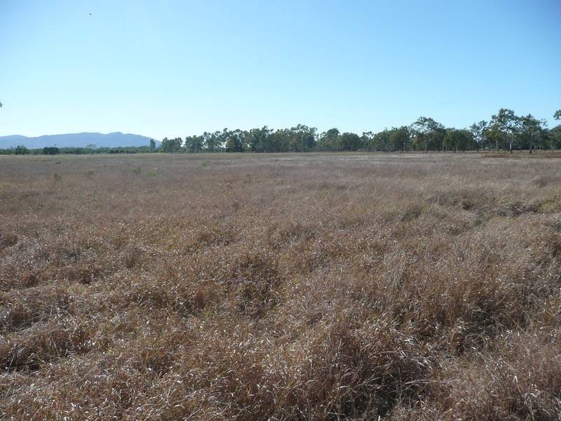 Lot 25,  De Salis Street, Gumlu QLD 4805