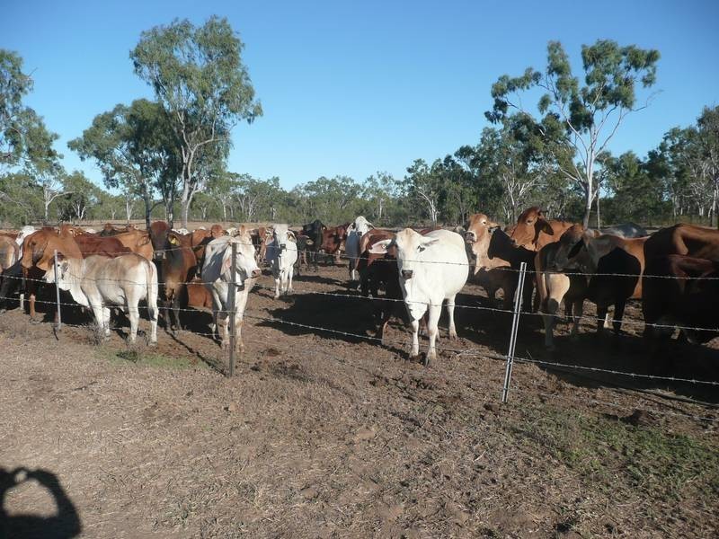 Lot 25,  De Salis Street, Gumlu QLD 4805